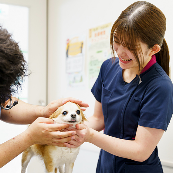 元気になったペット達の姿と飼い主様の笑顔が⽇々のやりがい