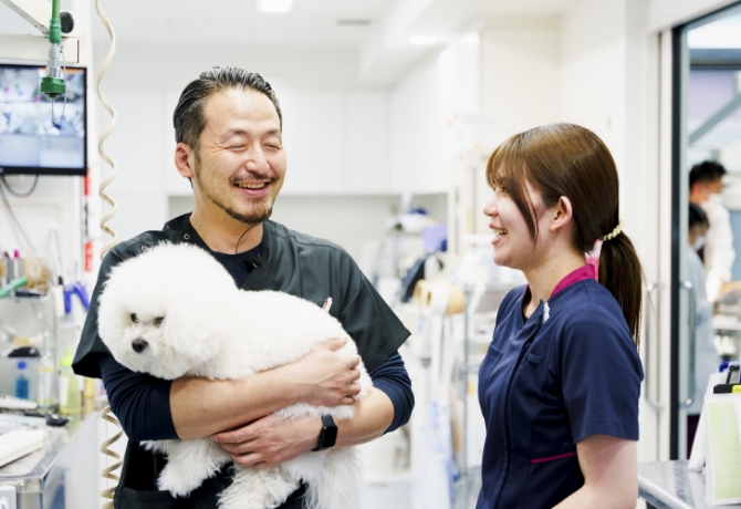 各職種の仕事内容や魅⼒