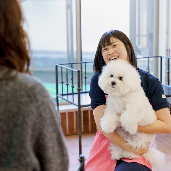 犬と心が通じ合える喜びが感じられて、犬の成長とともに自分の成長を感じられる仕事です